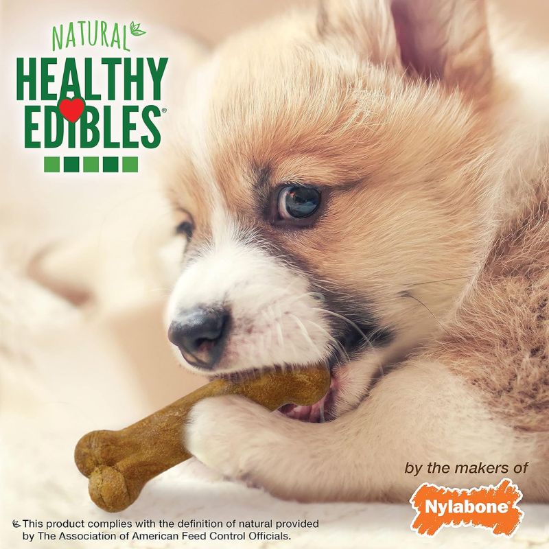 Nylabone Healthy Edibles Natural Puppy Treats Variety Pack – Puppy Supplies – Roast Beef, Bacon, Turkey & Apple Flavors, X-Small/Petite (3 Count)
